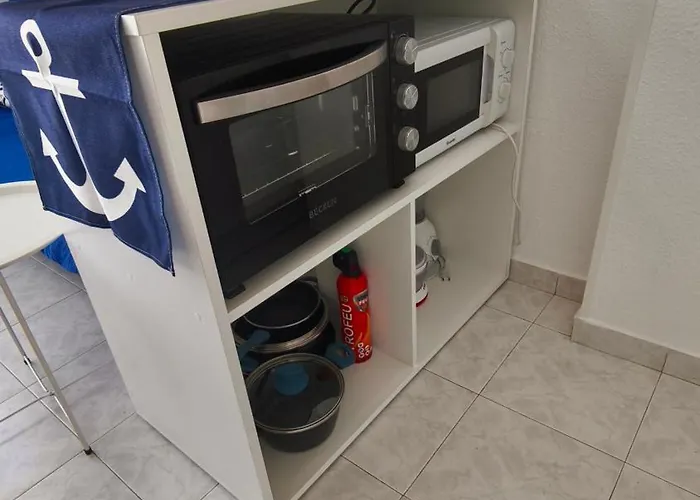 Agata Sea Horse Torrevieja