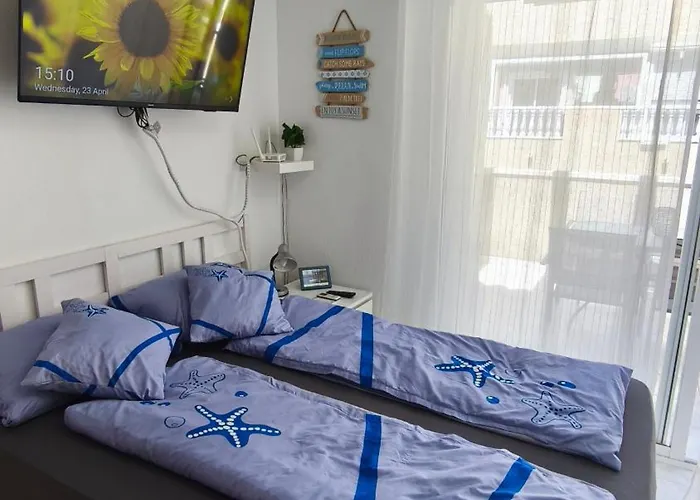 Agata Sea Horse * Torrevieja