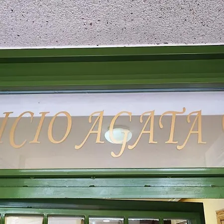 Agata Sea Horse * Торевьиа