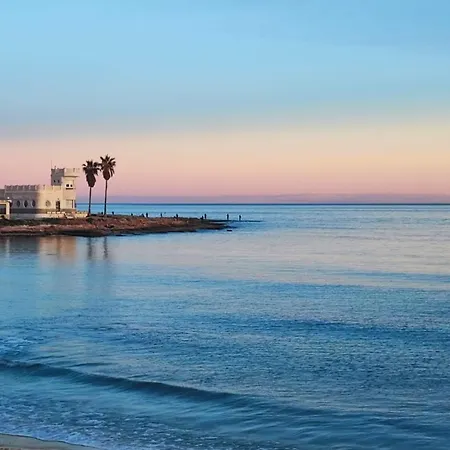 Agata Sea Horse * Торевьиа