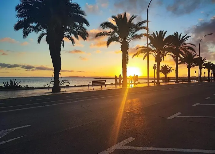 Agata Sea Horse Торевьиа